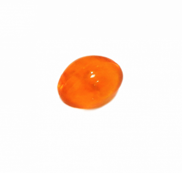 貝節益(膠囊) (添加omega 3)